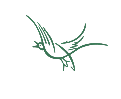 Vogel